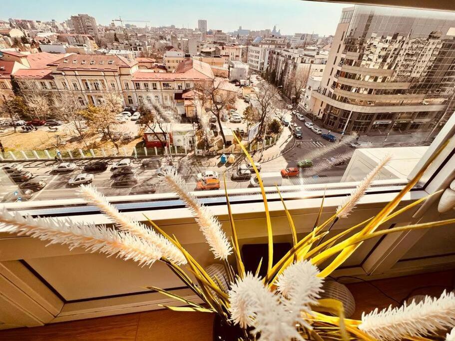 City View Studio In The Heart Of Bucharest 아파트 외부 사진
